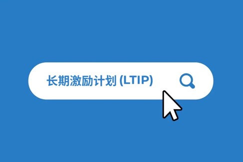 什么是长期激励计划（LTIPs）？